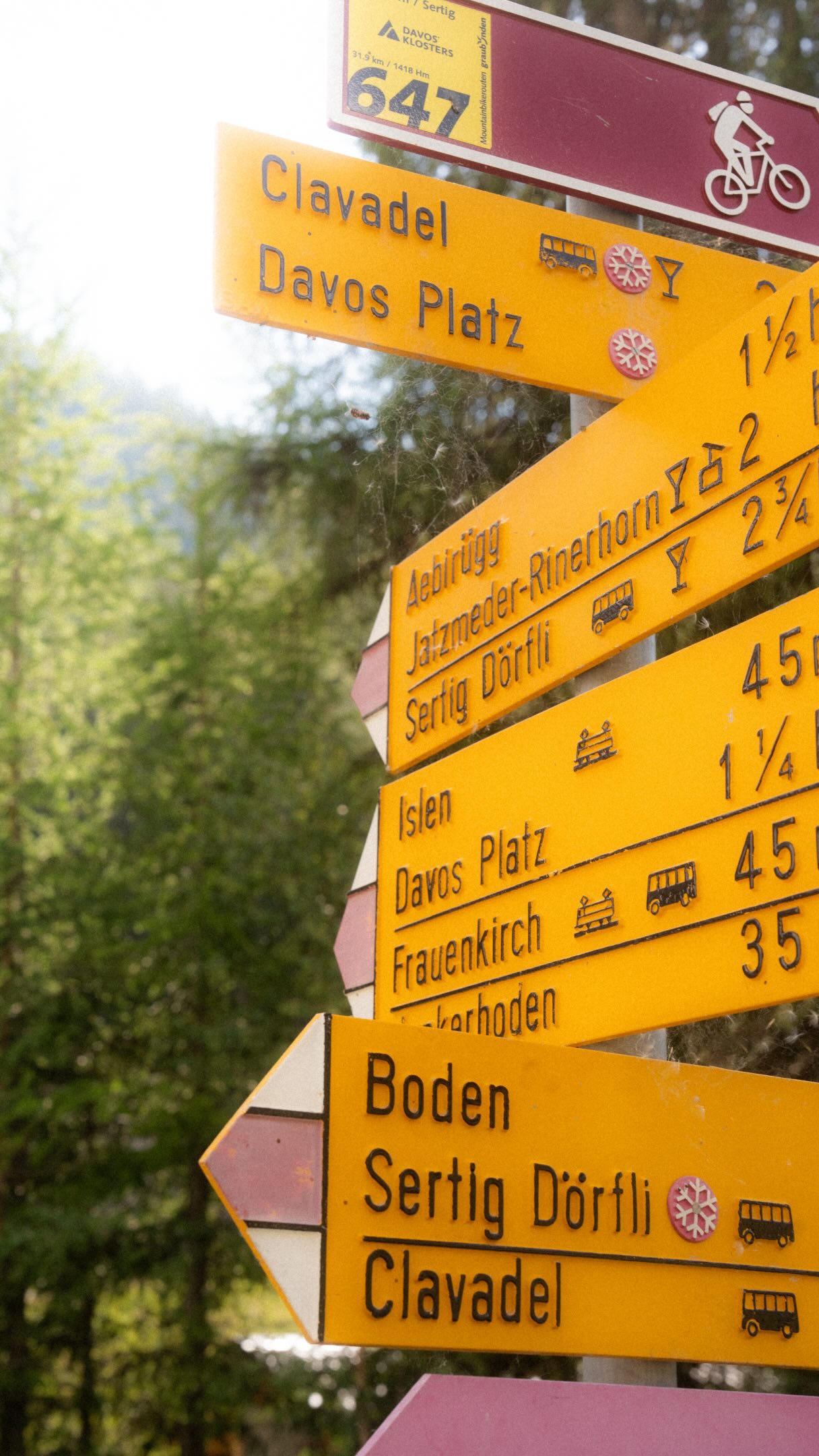 Sometimes a trail says more than a thousand words. 🌼
Sertig is one of those places that makes you want to stay a little longer.
Manchmal sagt ein Weg mehr als tausend Worte. 🌼
Sertig – einer dieser Orte, an denen man einfach einen Moment länger bleibt.