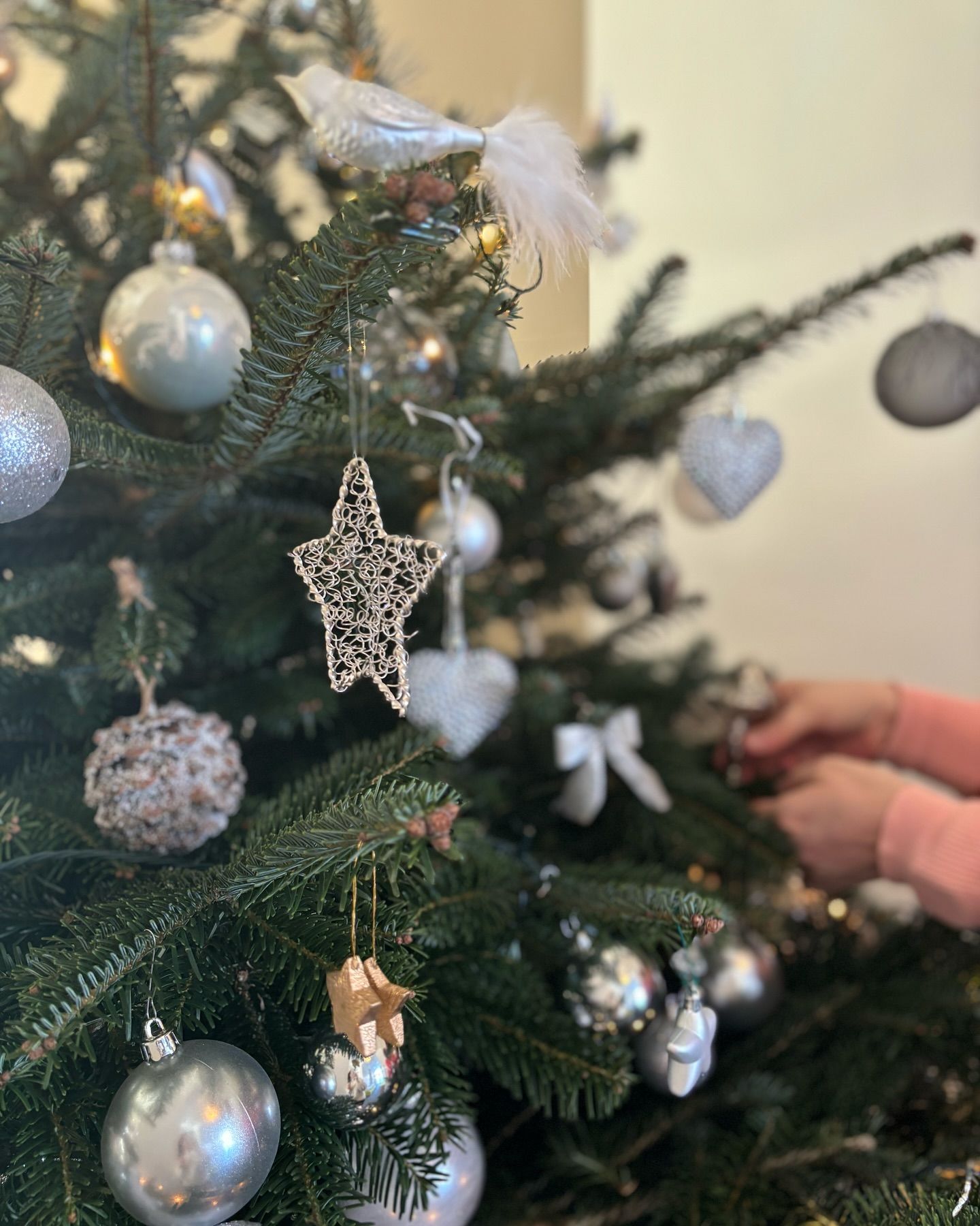 🎄✨ Teamspirit & Weihnachtszauber! ✨🎄
Heute haben wir gemeinsam den Xmas-Baum geschmückt und uns in Weihnachtsstimmung gebracht. Ein großer Dank an unser fantastisches Team und die gute Laune!
#teamspirit #weihnachten #weihnachtsstimmung #weihnachtsbaum #hoteledelweissdavos #weekendvibes