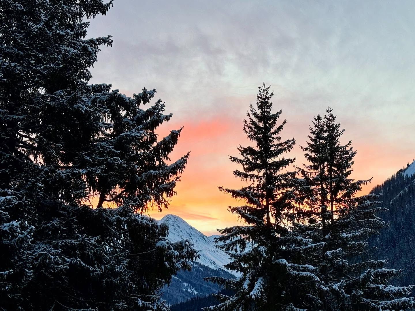 Die Engel backen fleissig Plätzchen und unsere Gäste machen die Pisten unsicher ⛷️🏂

#magical #morningvibes #winter #engelbackenplätzchen #snow #whatawonderfulworld #skiing #snowboarding #winterinthemountains #lifeisbetterinthemountains 
#davosklosters #sportsunlimited #graubünden #winterwonderland